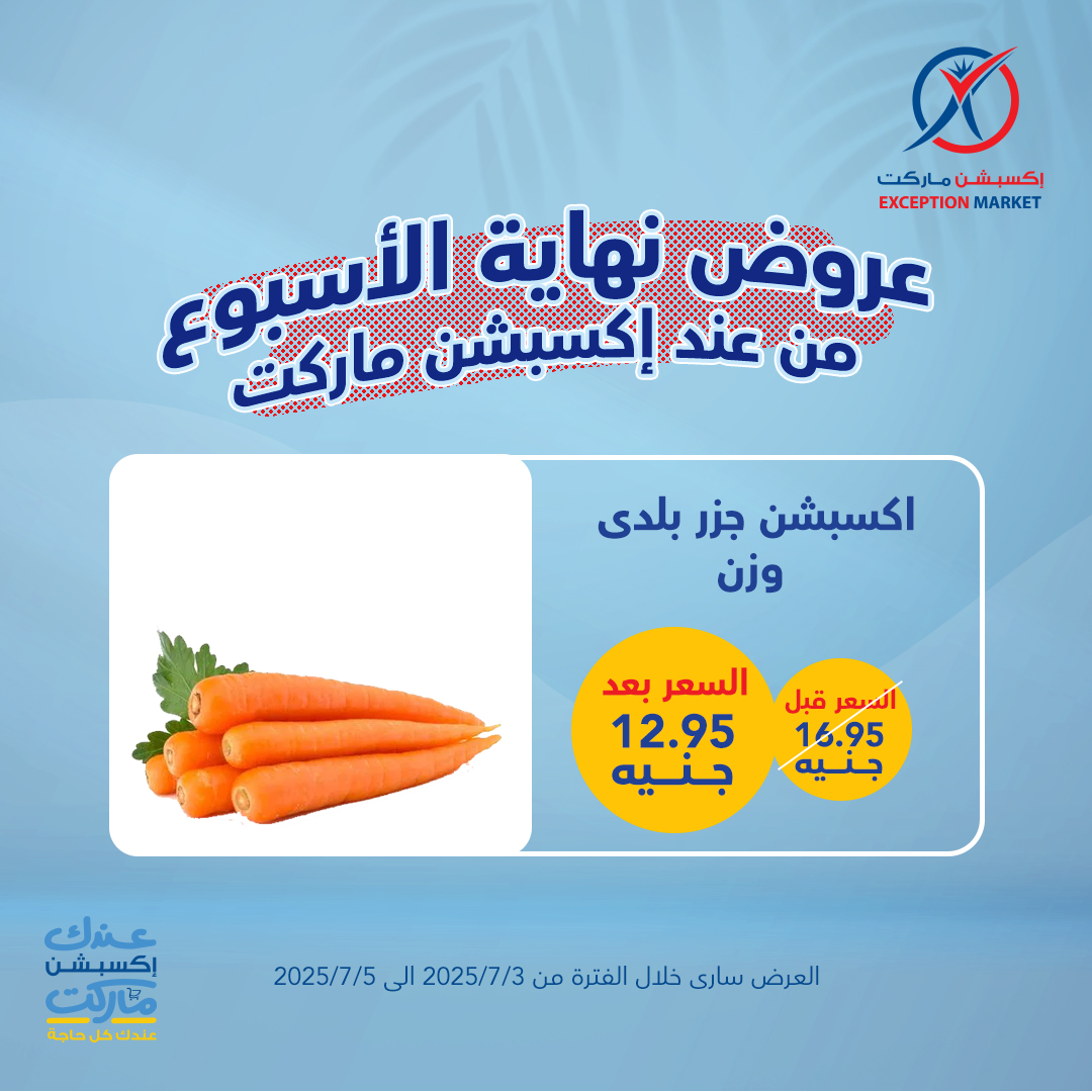 exception offers from 1jul to 2jun 2025 عروض اكسبشن من 1 يوليو حتى 2 يونيو 2025 صفحة رقم 9