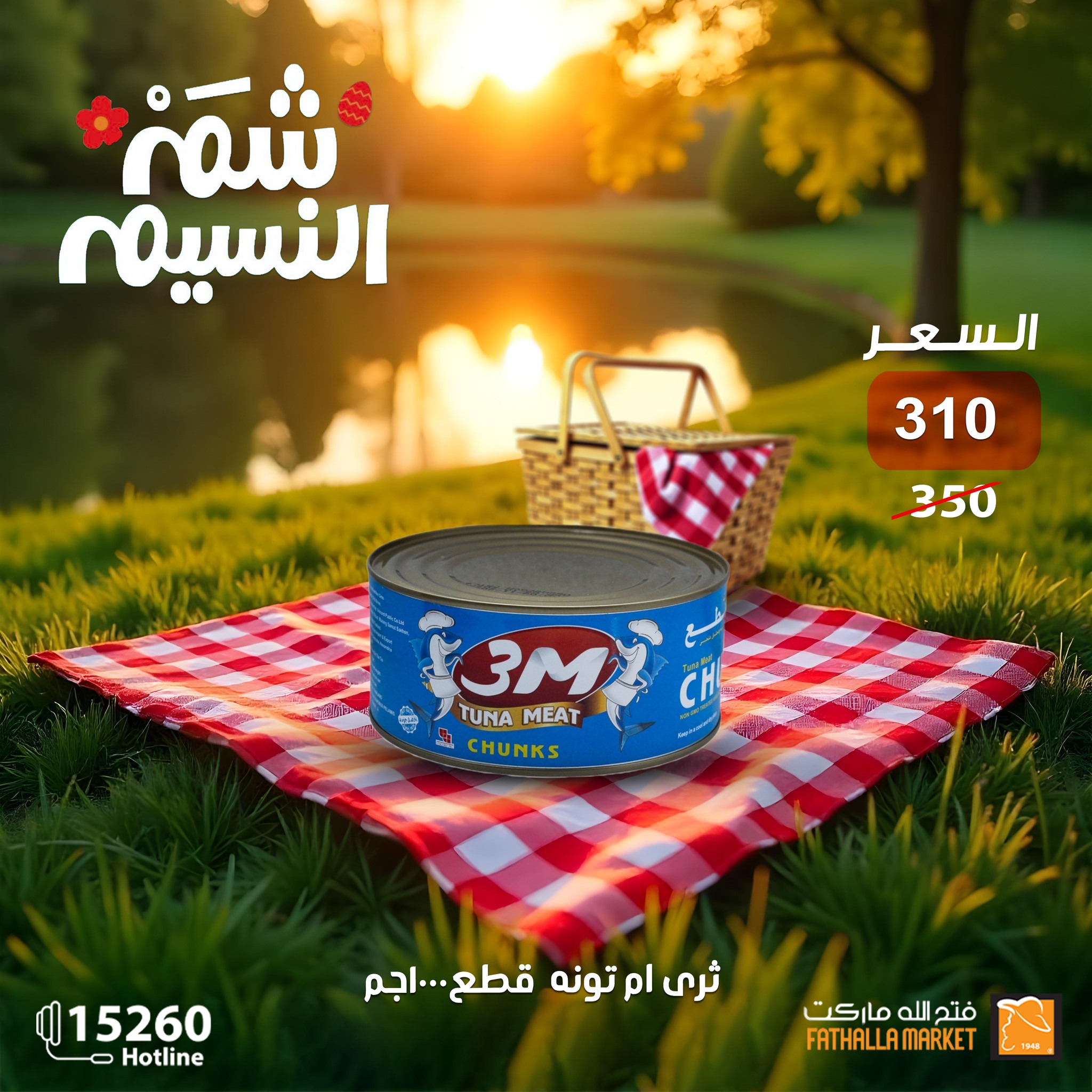 fathalla offers from 19apr to 16apr 2025 عروض فتح الله من 19 إبريل حتى 16 إبريل 2025 صفحة رقم 2