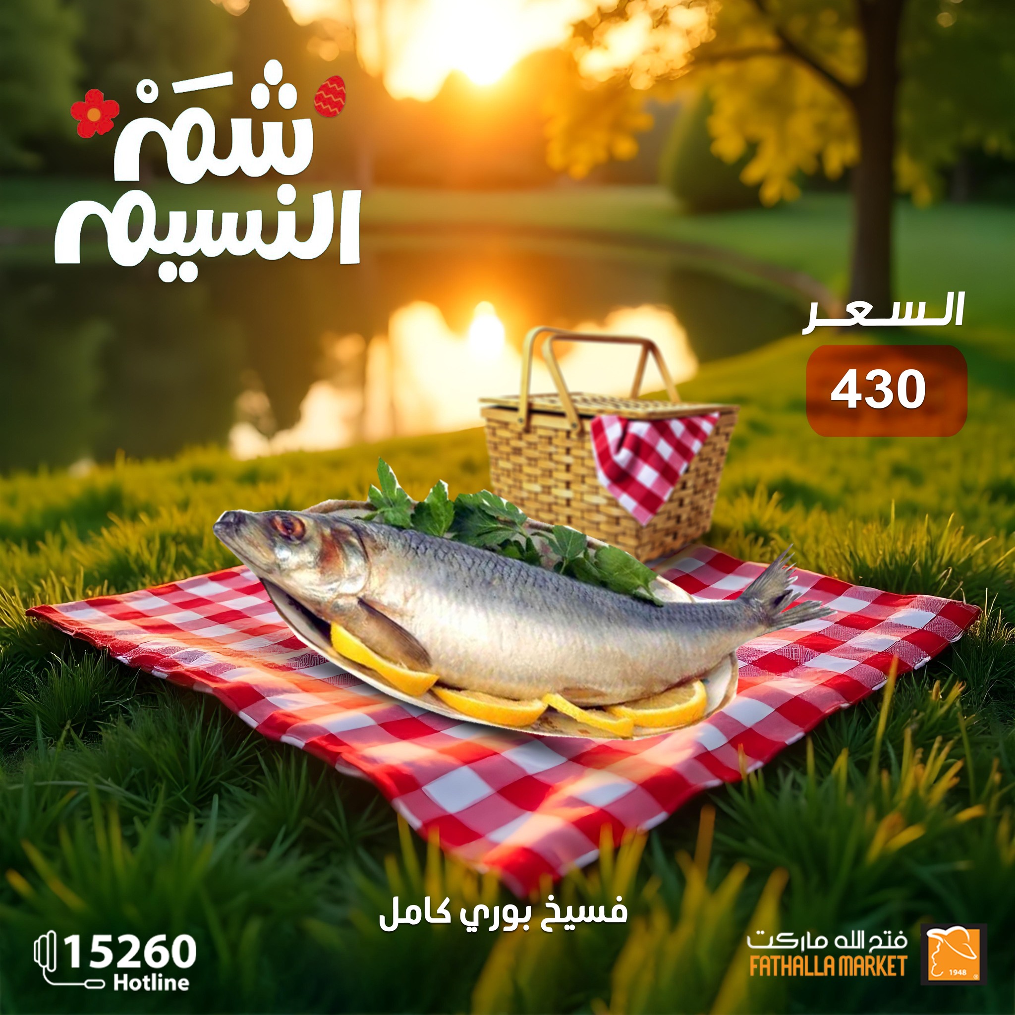fathalla offers from 19apr to 16apr 2025 عروض فتح الله من 19 إبريل حتى 16 إبريل 2025 صفحة رقم 6