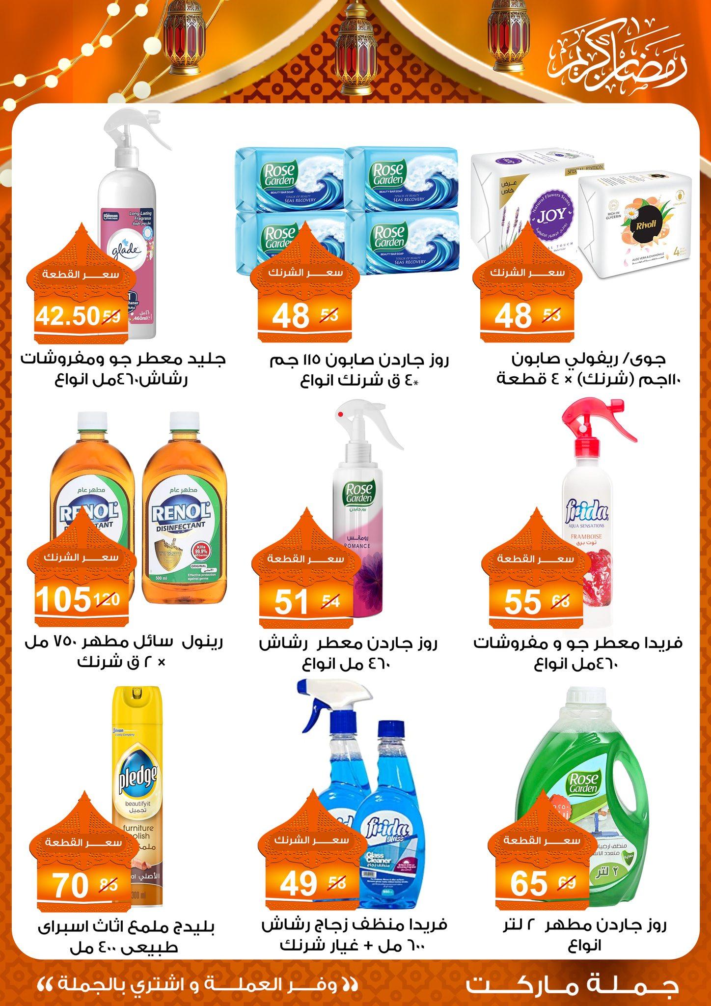 عروض جملة ماركت 10-25 فبراير 2026 صفحة 13 - gomla market offers 10-25 February 2026 page 13