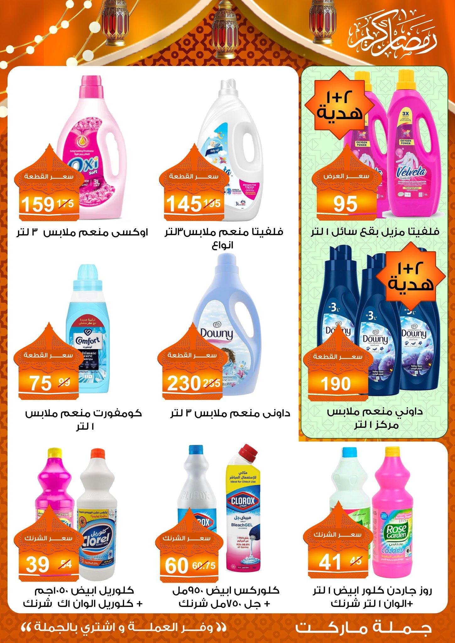 عروض جملة ماركت 10-25 فبراير 2026 صفحة 15 - gomla market offers 10-25 February 2026 page 15