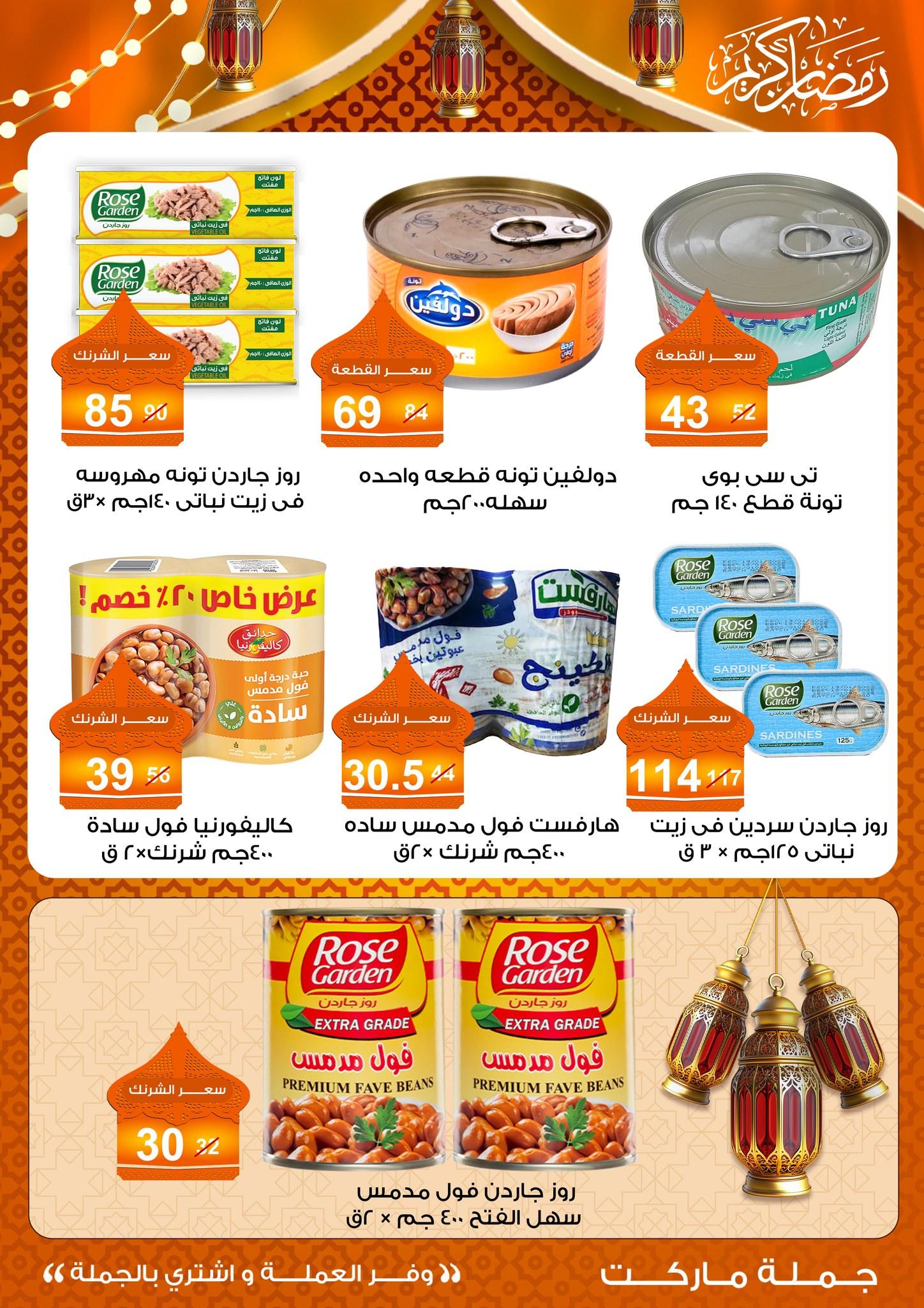 عروض جملة ماركت 10-25 فبراير 2026 صفحة 41 - gomla market offers 10-25 February 2026 page 41