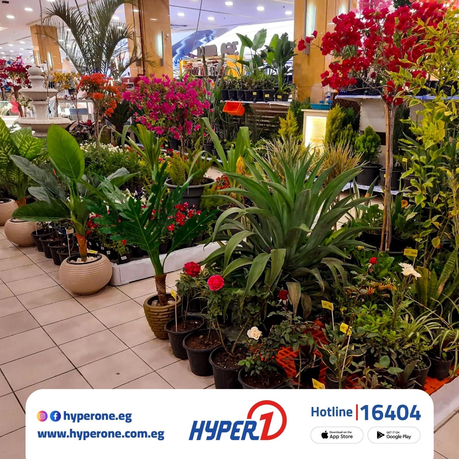 عروض هايبر وان زهور الربيع 1-30 إبريل 2026 صفحة 2