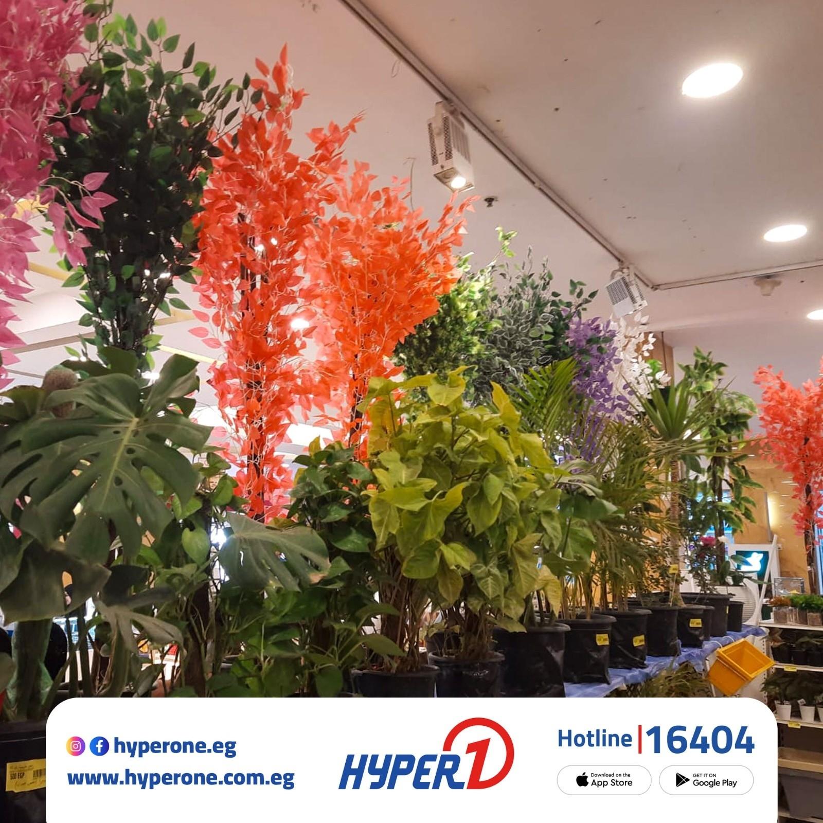 عروض هايبر وان زهور الربيع 1-30 إبريل 2026 صفحة 3