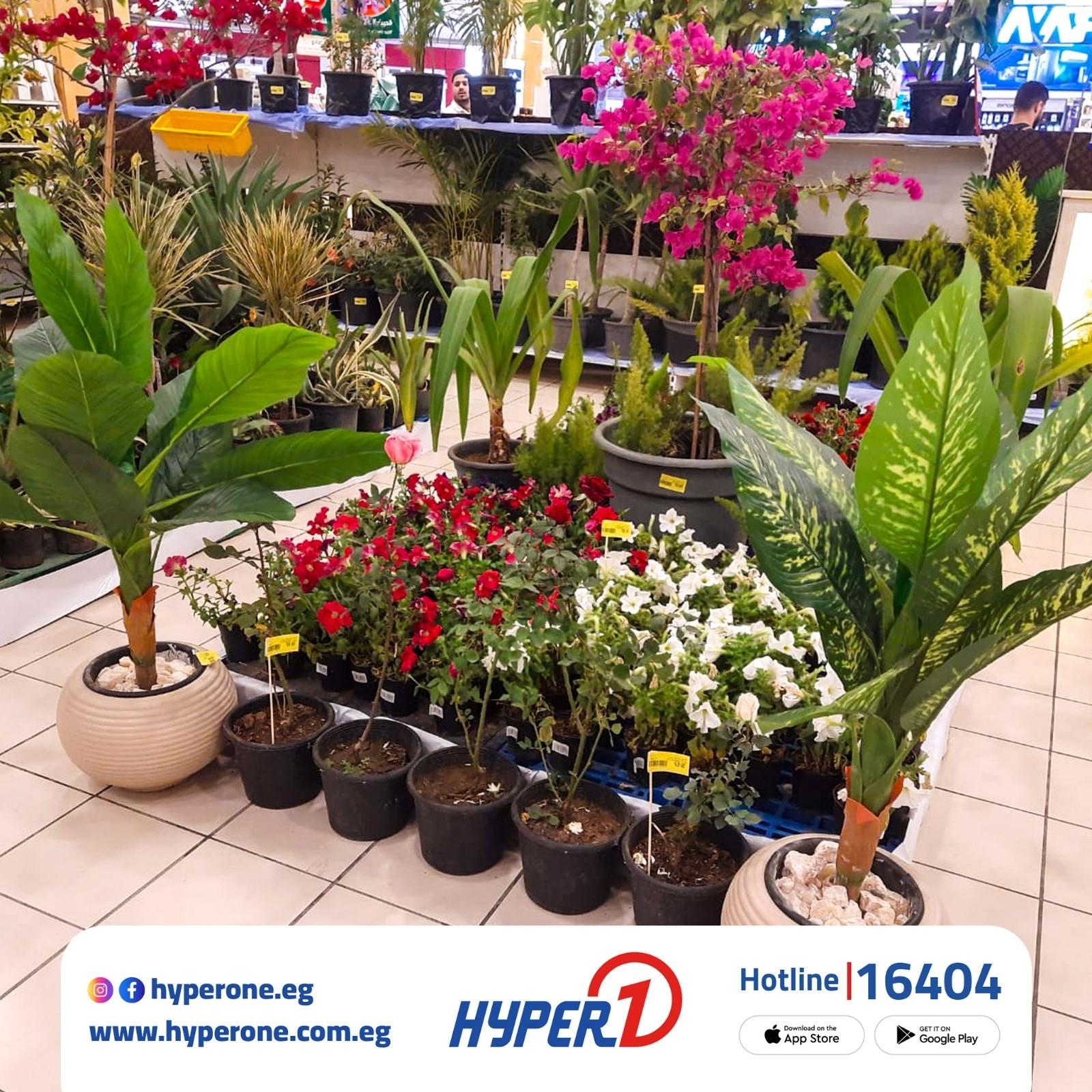 عروض هايبر وان زهور الربيع 1-30 إبريل 2026 صفحة 5