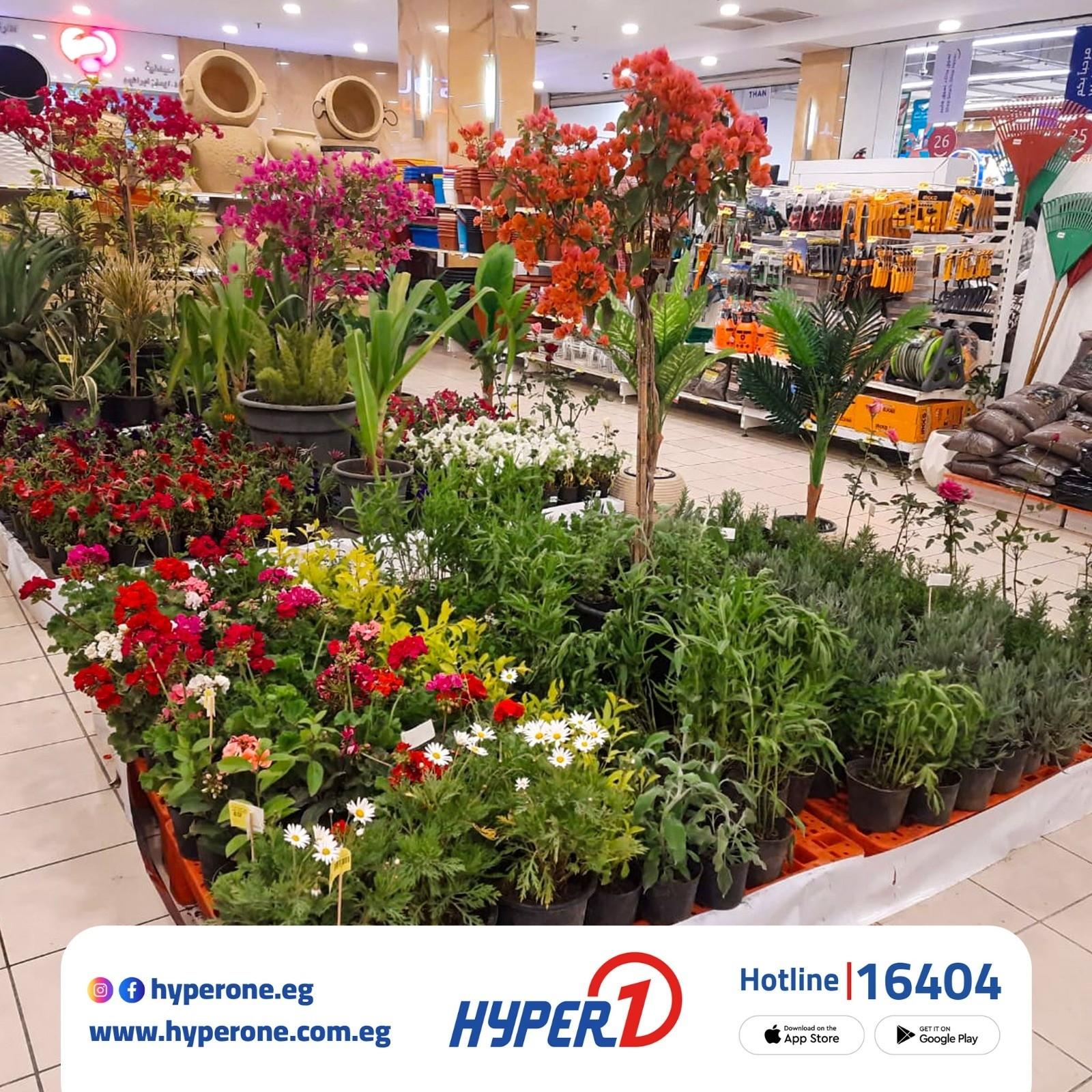 عروض هايبر وان زهور الربيع 1-30 إبريل 2026 صفحة 6