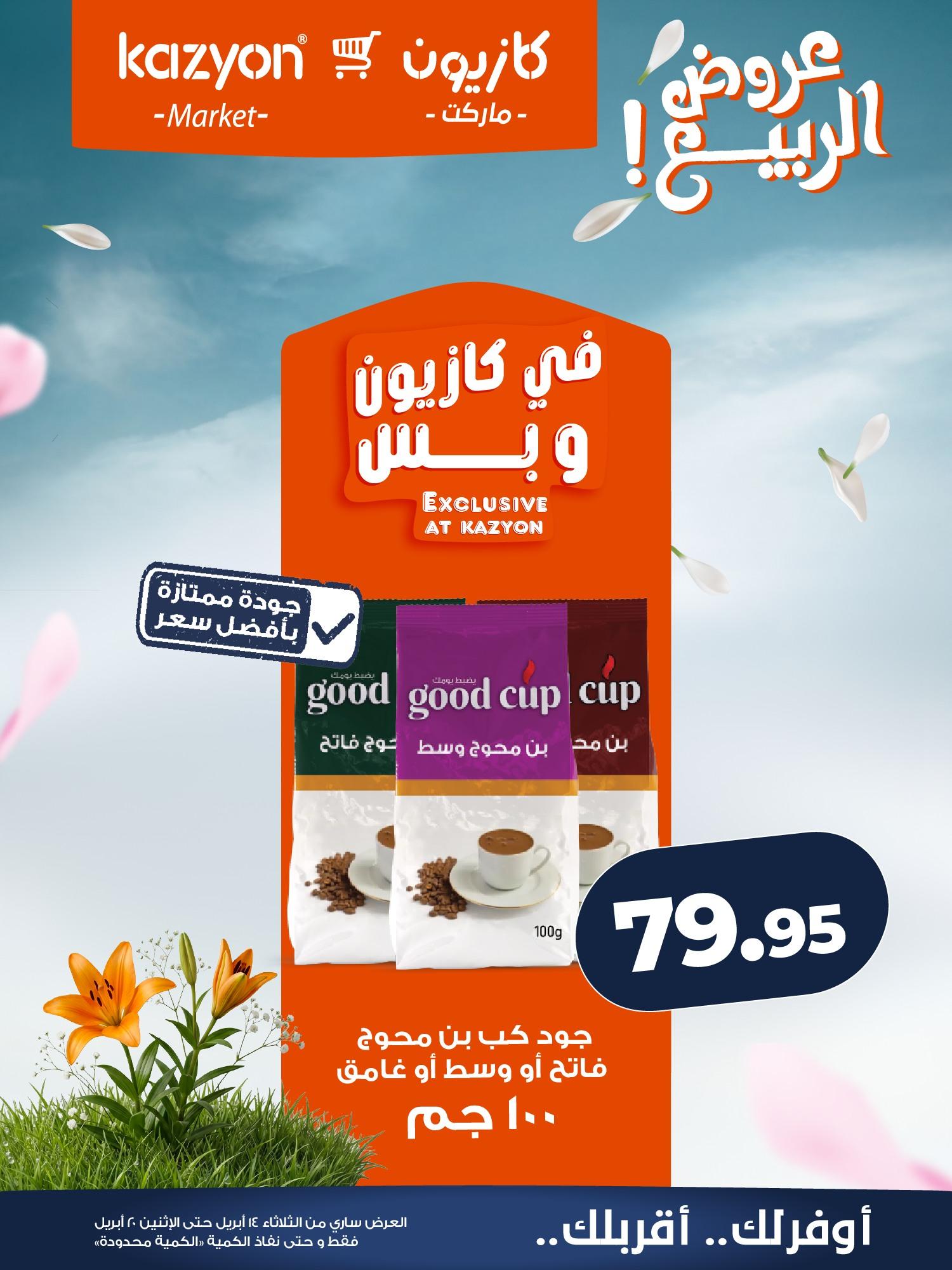 عروض كازيون 14-20 إبريل 2026 صفحة 17