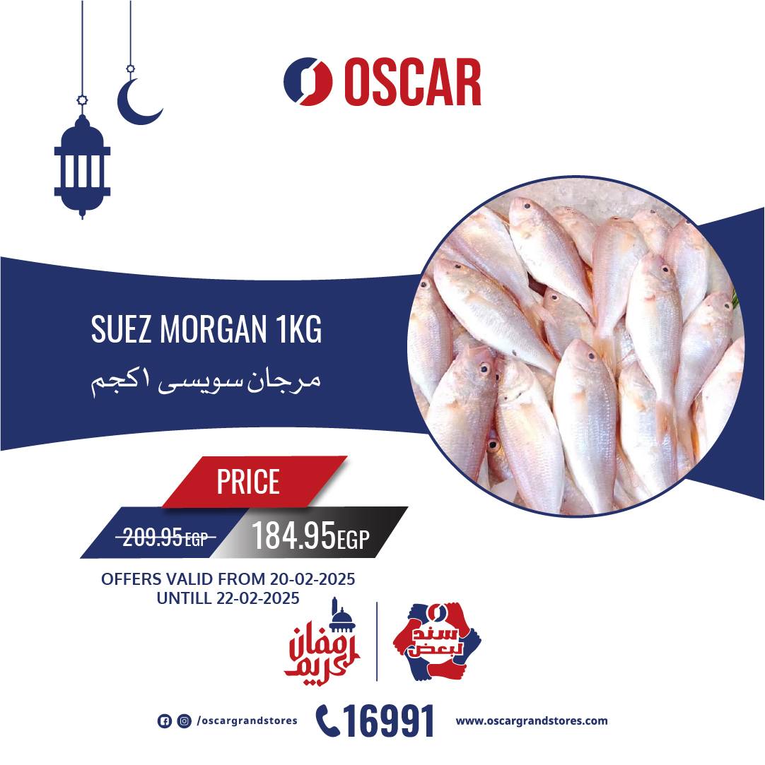 oscar offers from 20feb to 22feb 2025 عروض أوسكار من 20 فبراير حتى 22 فبراير 2025 صفحة رقم 4
