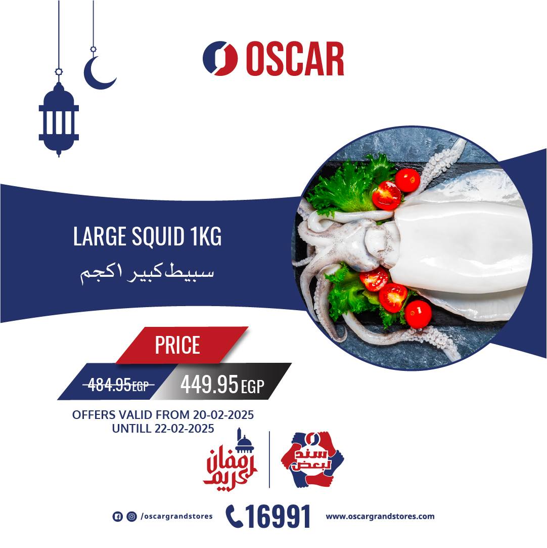 oscar offers from 20feb to 22feb 2025 عروض أوسكار من 20 فبراير حتى 22 فبراير 2025 صفحة رقم 8