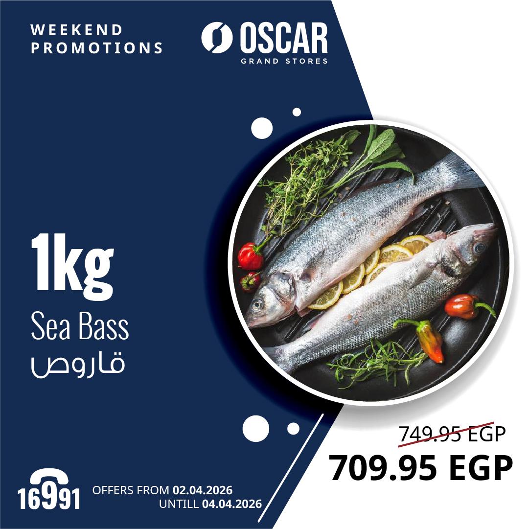 عروض أوسكار 2-4 إبريل 2026 صفحة 3