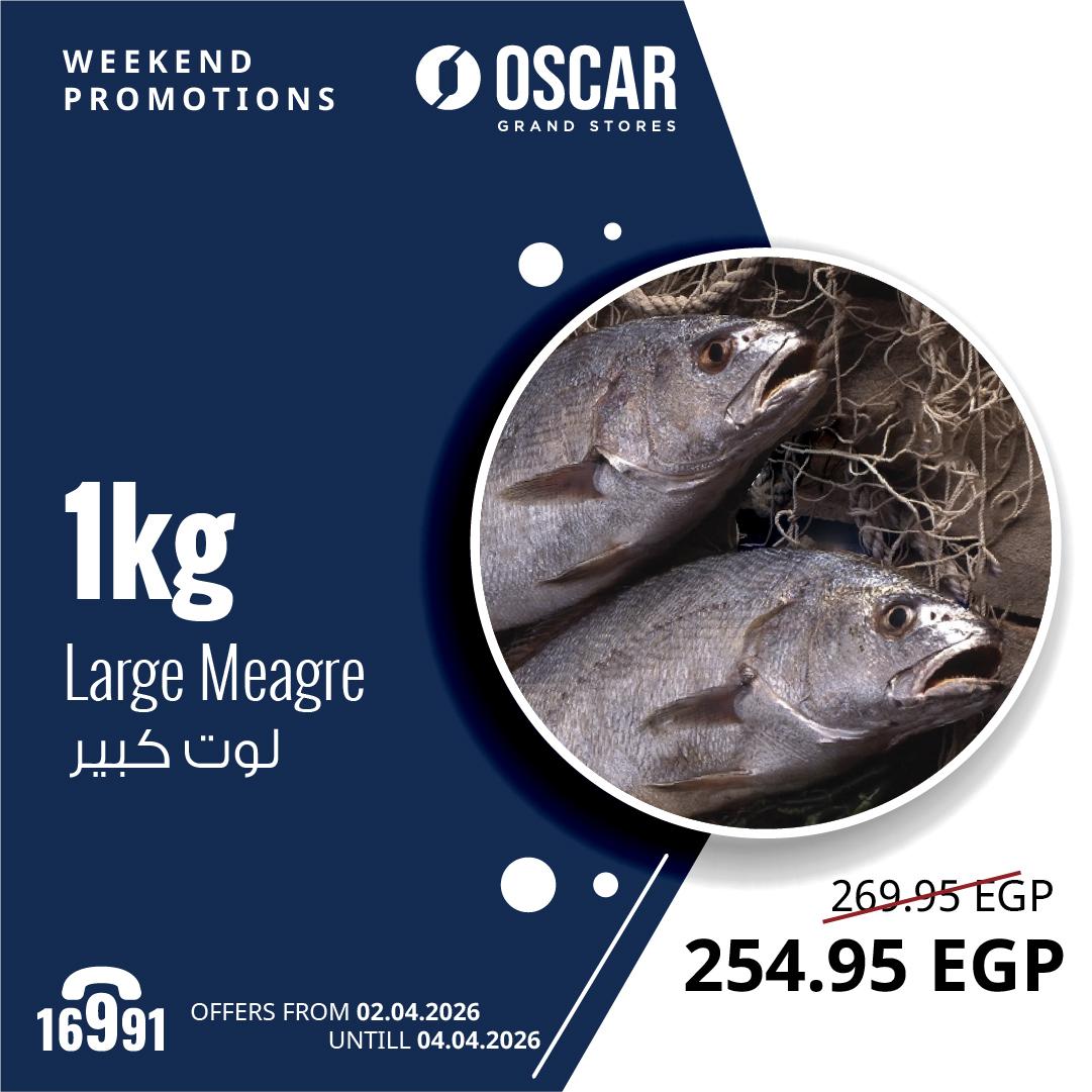 عروض أوسكار 2-4 إبريل 2026 صفحة 4