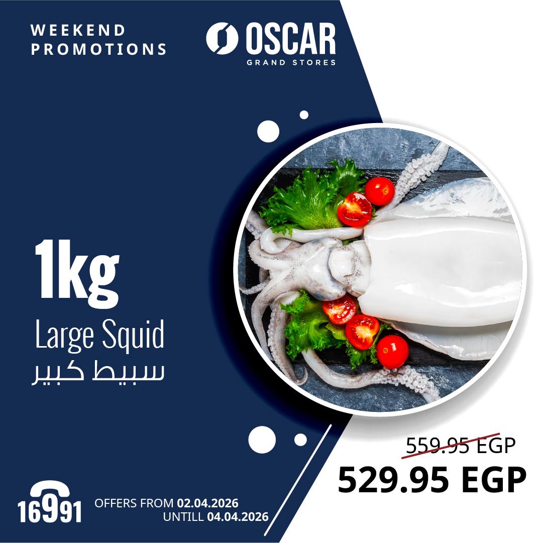 عروض أوسكار 2-4 إبريل 2026 صفحة 7