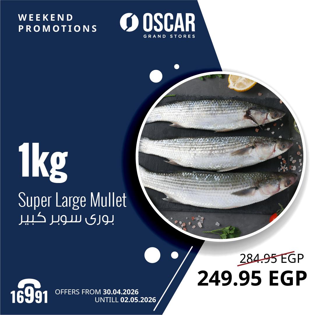 عروض أوسكار 30 إبريل - 2 مايو 2026 صفحة 4