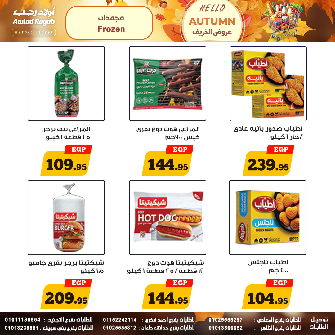 ragab-sons offers from 23oct to 1oct 2025 عروض أولاد رجب من 23 أكتوبر حتى 1 أكتوبر 2025 صفحة رقم 9