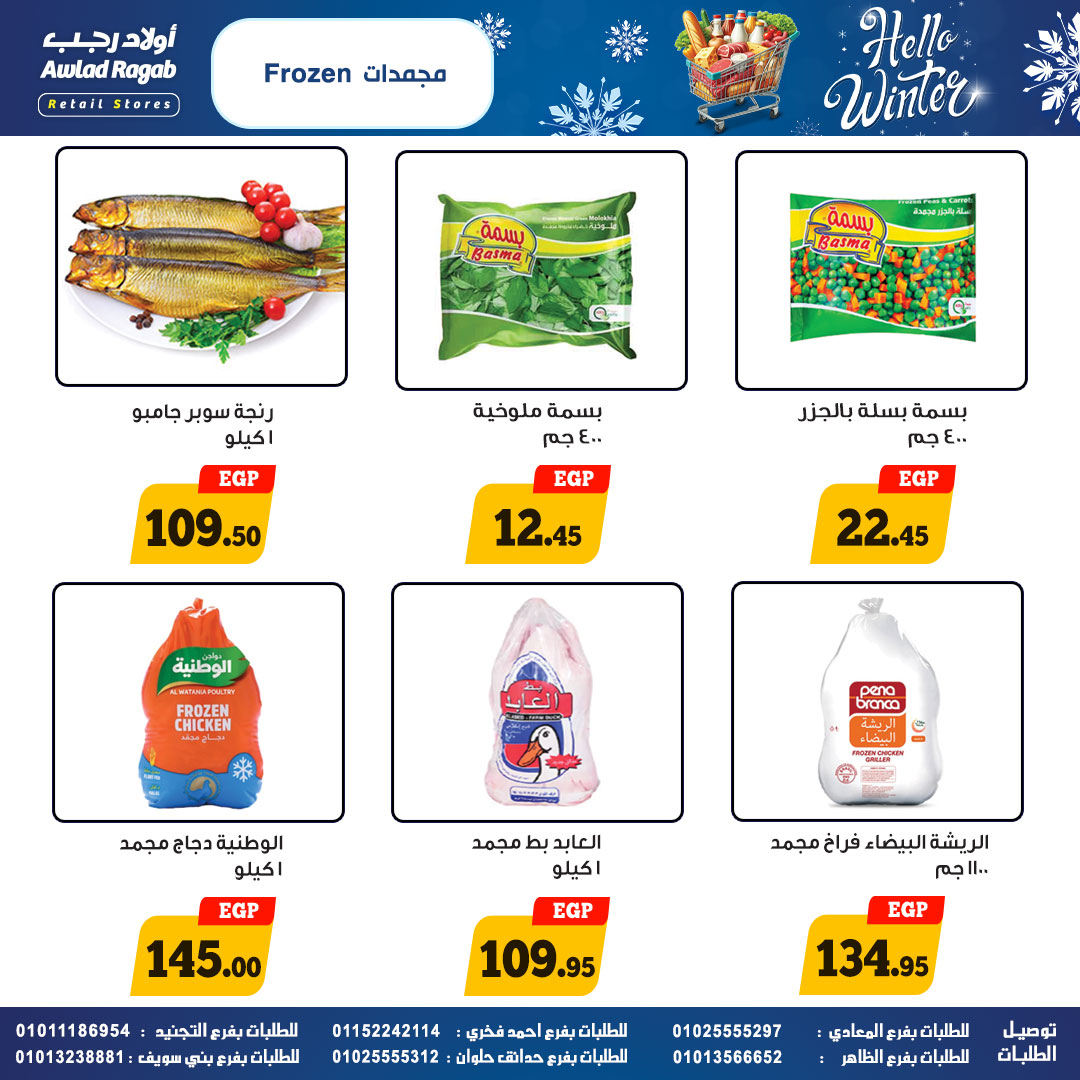ragab-sons offers from 24nov to 4nov 2025 عروض أولاد رجب من 24 نوفمبر حتى 4 نوفمبر 2025 صفحة رقم 13