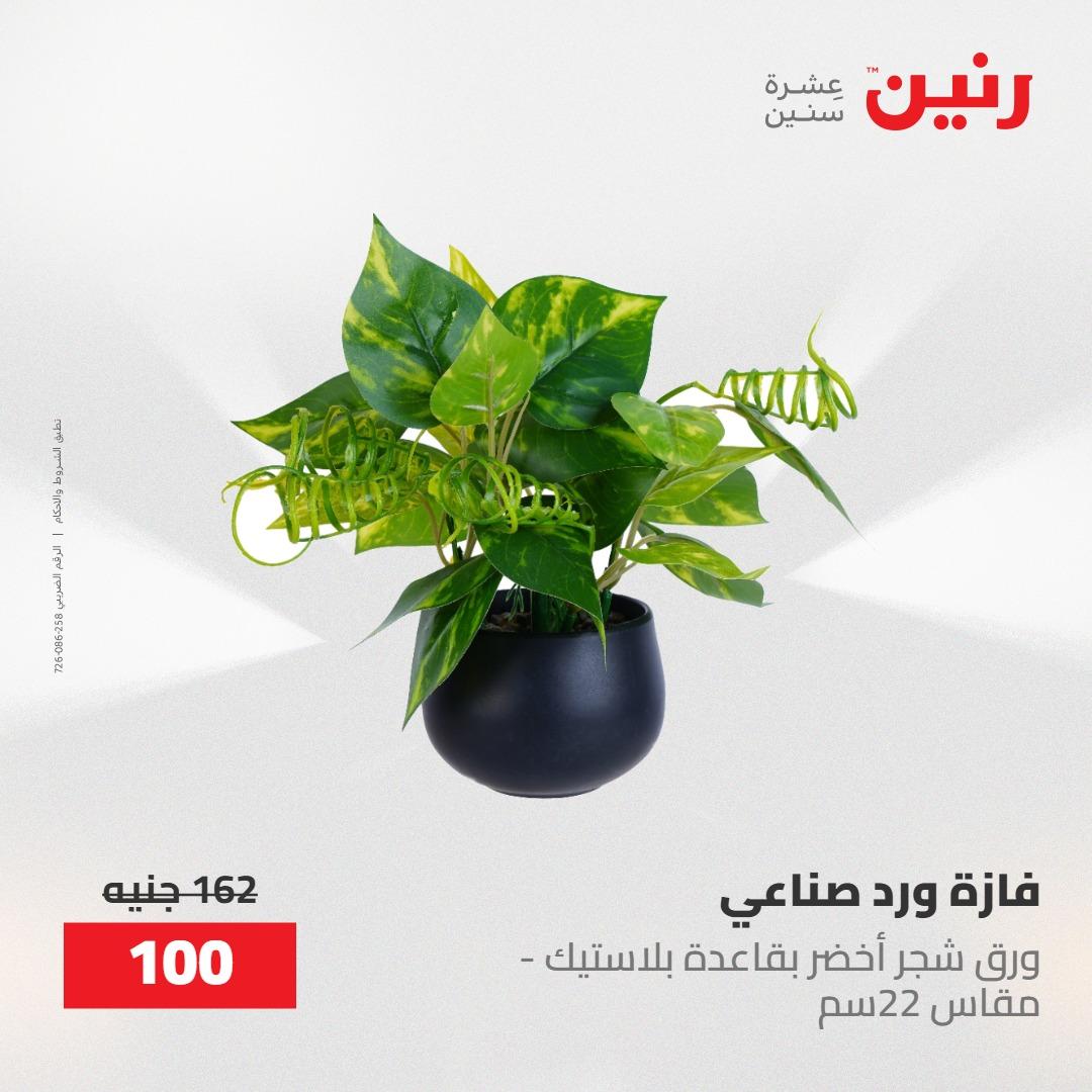 عروض رنين على الديكورات 10-11 مايو 2026  صفحة 9 - raneen offers 10-11 May 2026 page 9