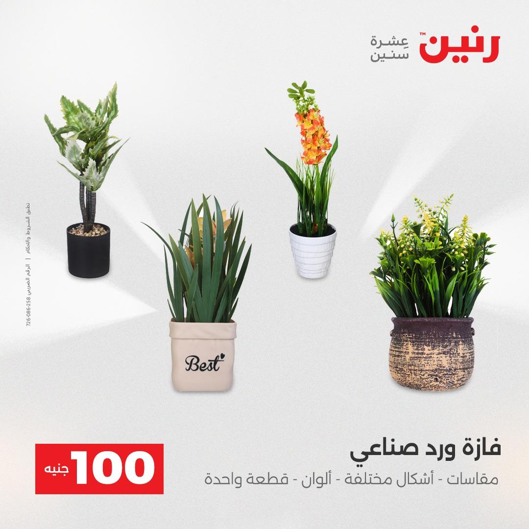 عروض رنين عرض الـ100 جنية 12-13 مايو 2026 صفحة 4 - raneen offers 12-13 May 2026 page 4
