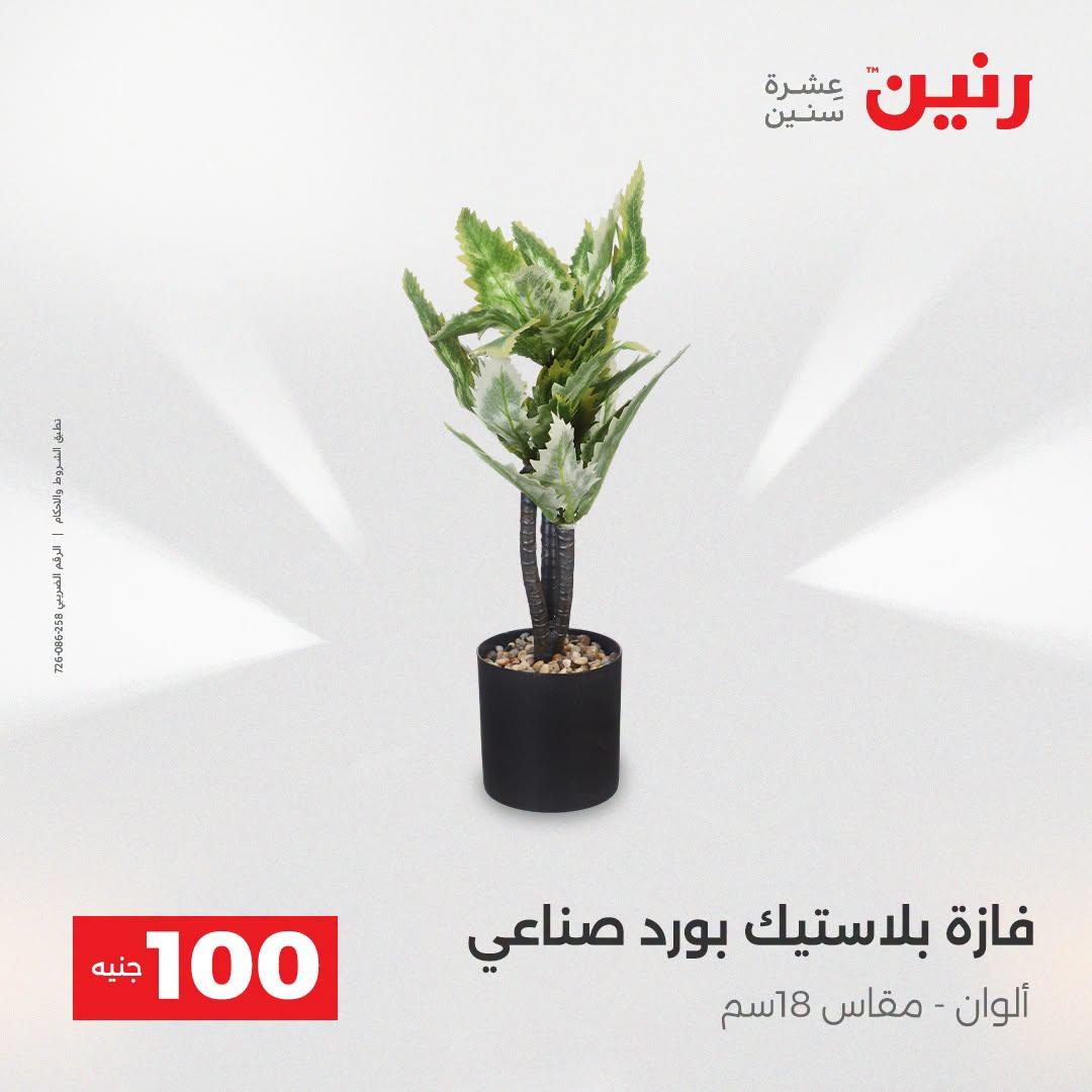 عروض رنين عرض الـ100 جنية  21-22 ابريل 2026 صفحة 12 - raneen offers 21-22 April 2026 page 12