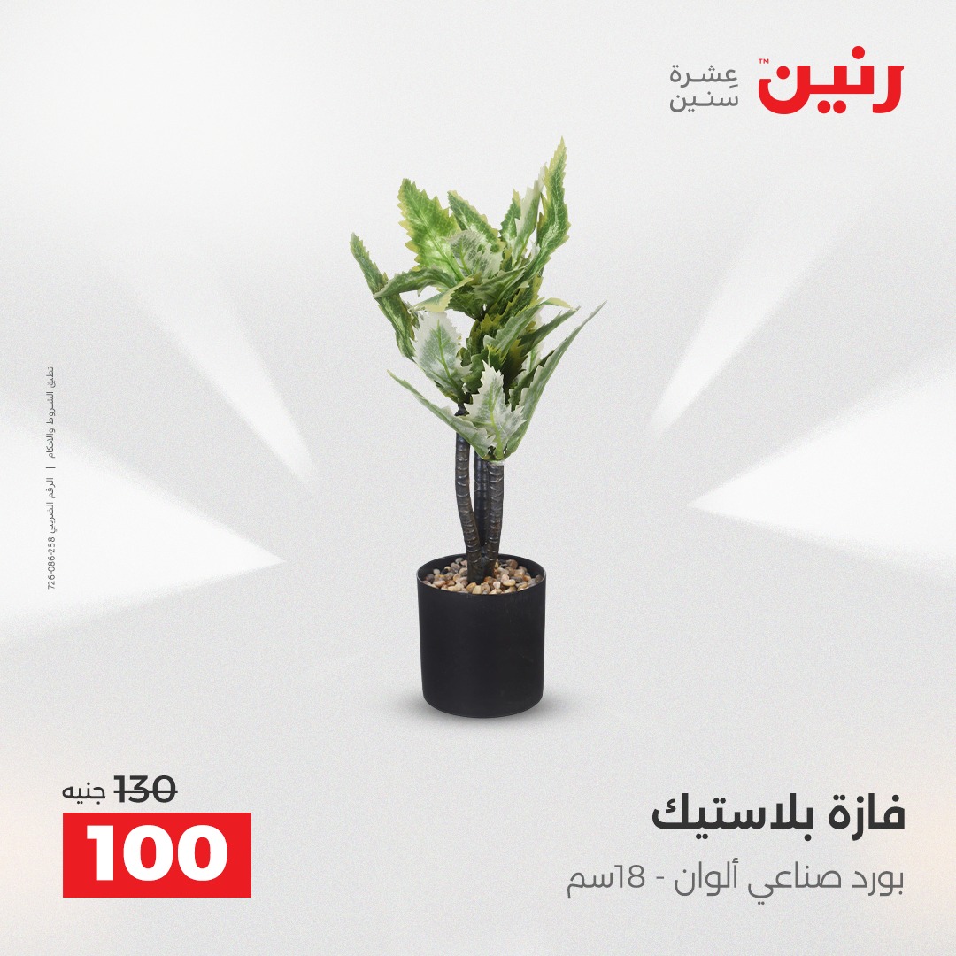 raneen offers from 23dec to 24dec 2025 عروض رنين من 23 ديسمبر حتى 24 ديسمبر 2025 صفحة رقم 33