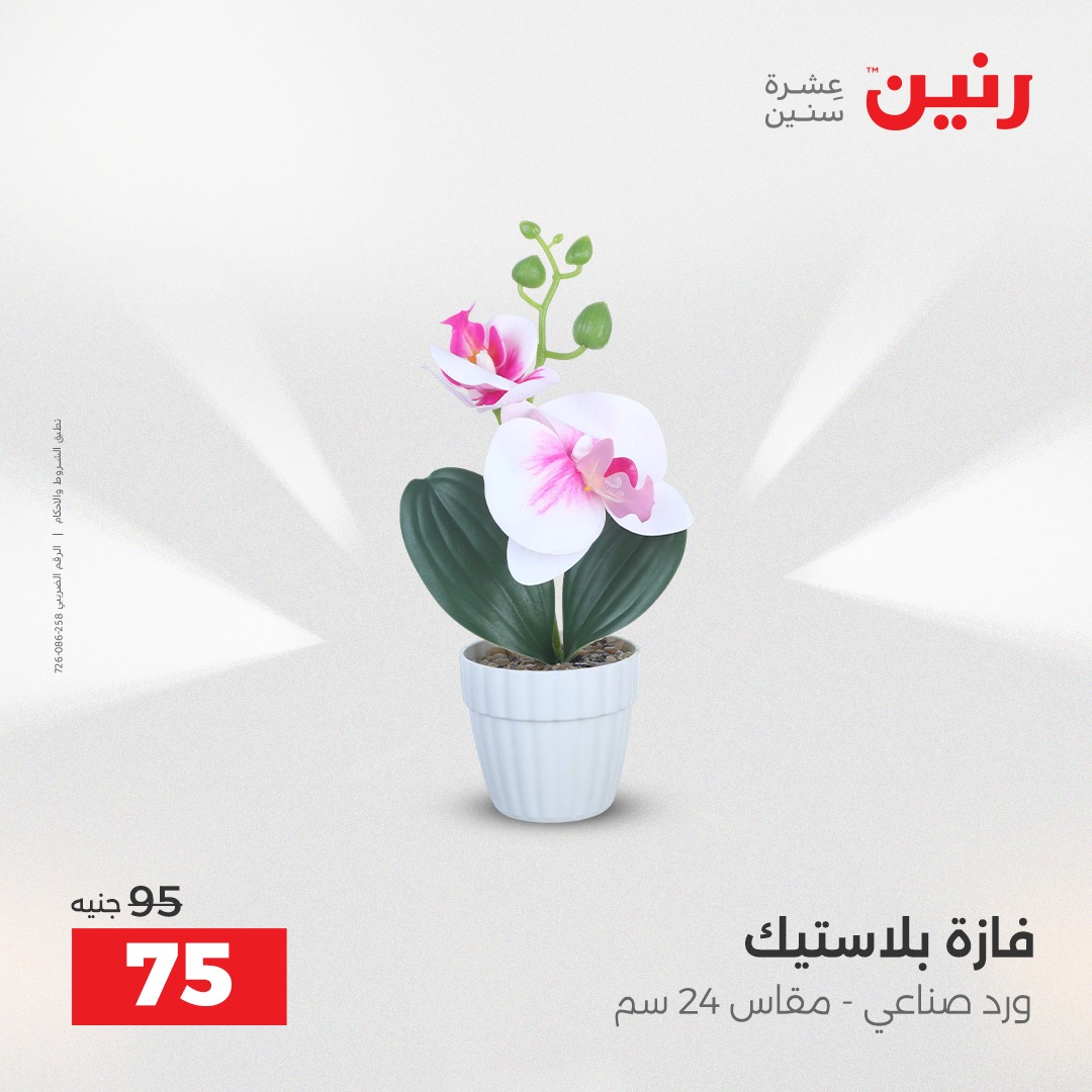 raneen offers from 23dec to 24dec 2025 عروض رنين من 23 ديسمبر حتى 24 ديسمبر 2025 صفحة رقم 34
