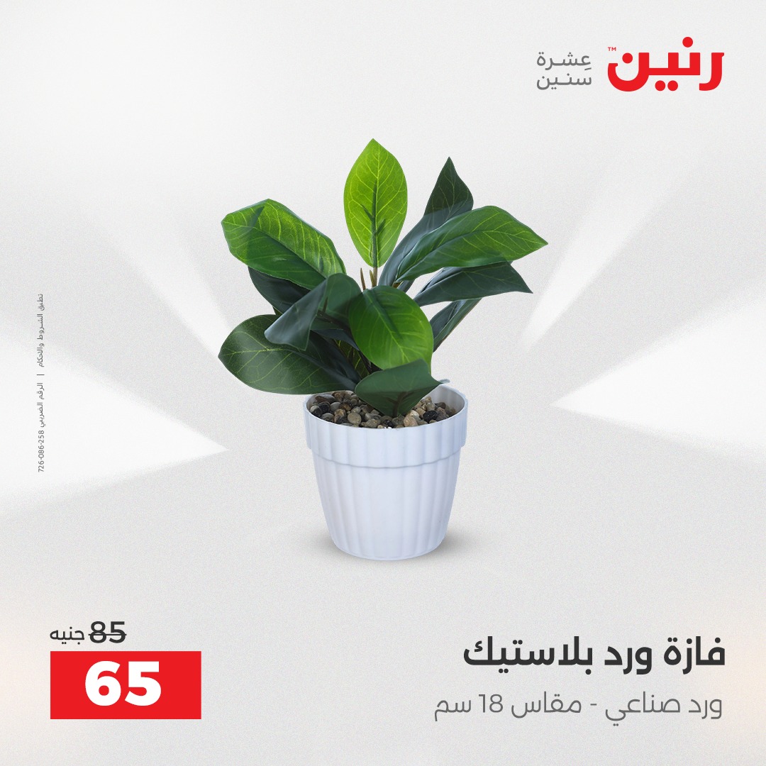 raneen offers from 23dec to 24dec 2025 عروض رنين من 23 ديسمبر حتى 24 ديسمبر 2025 صفحة رقم 35