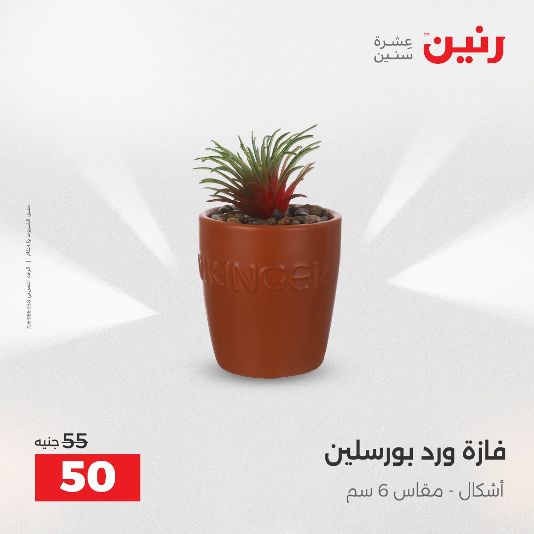 raneen offers from 23dec to 24dec 2025 عروض رنين من 23 ديسمبر حتى 24 ديسمبر 2025 صفحة رقم 36