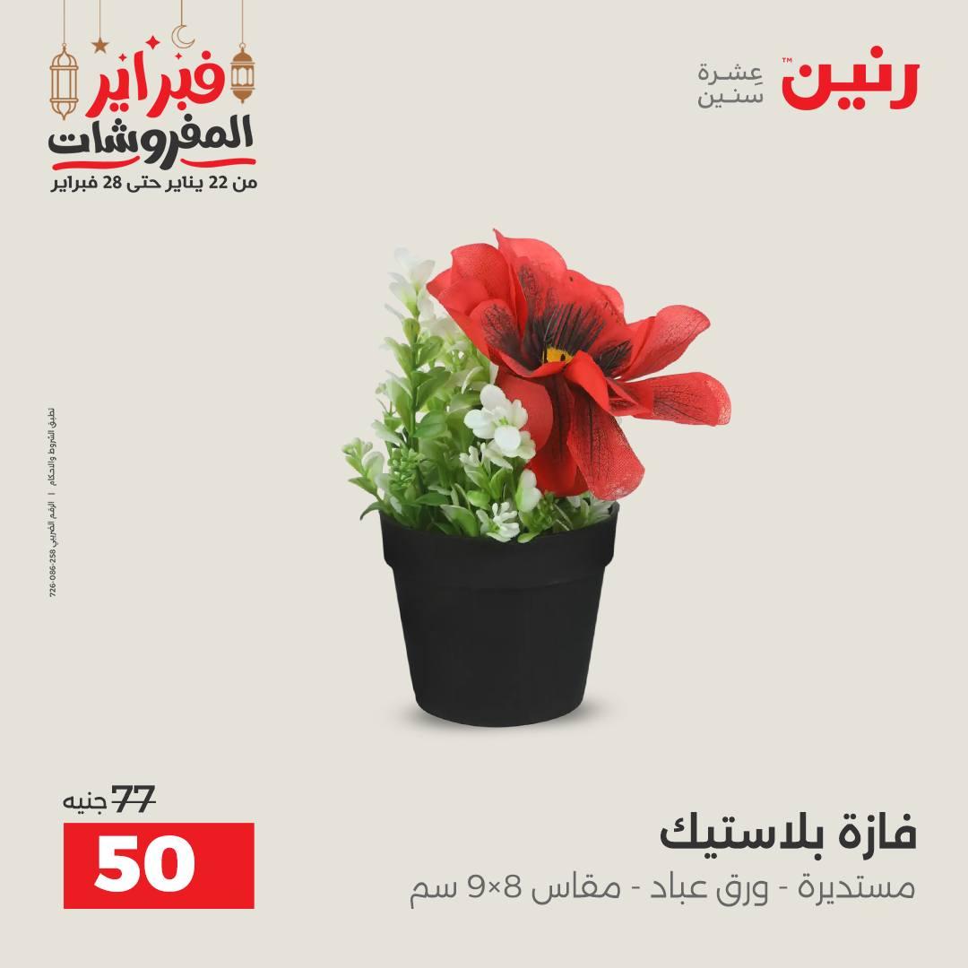 عروض رنين على الديكورات 24-25 فبراير 2026  صفحة 12 - raneen offers 24-25 February 2026 page 12