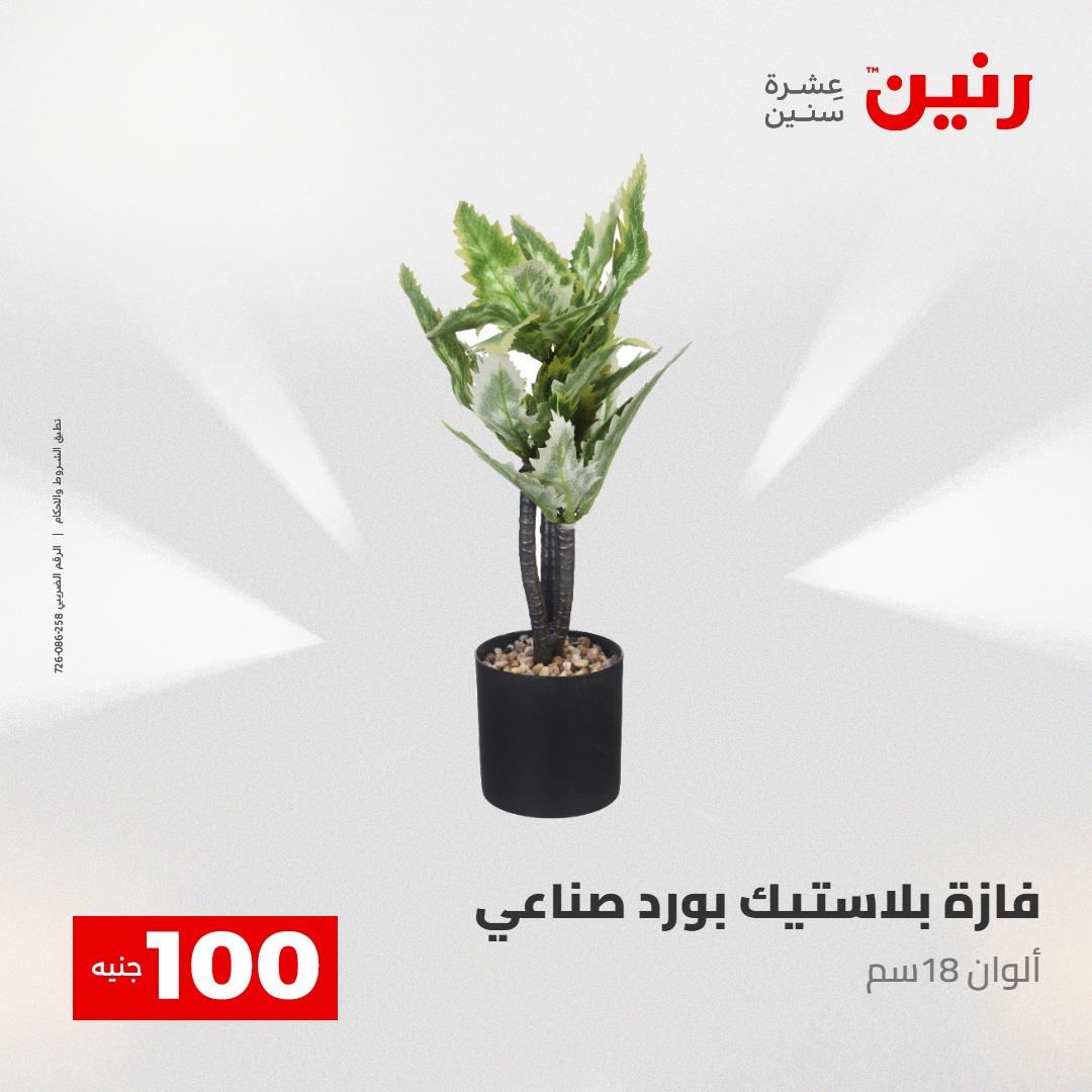 عروض رنين عرض الـ100 28-29 ابريل 2026  صفحة 26 - raneen offers 28-29 April 2026 page 26