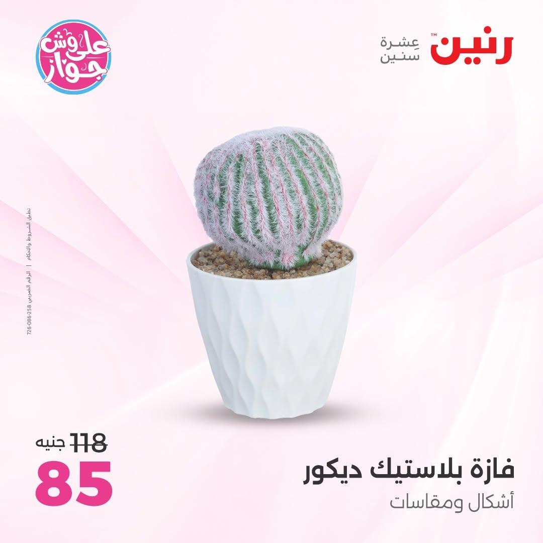 عروض رنين على الديكور 2-4 يوليو 2026 صفحة 10