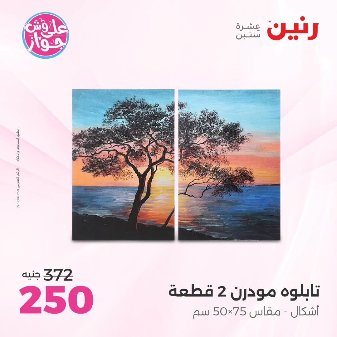 عروض رنين على الديكورات  30 يونيو - 1 يوليو 2026 صفحة 57