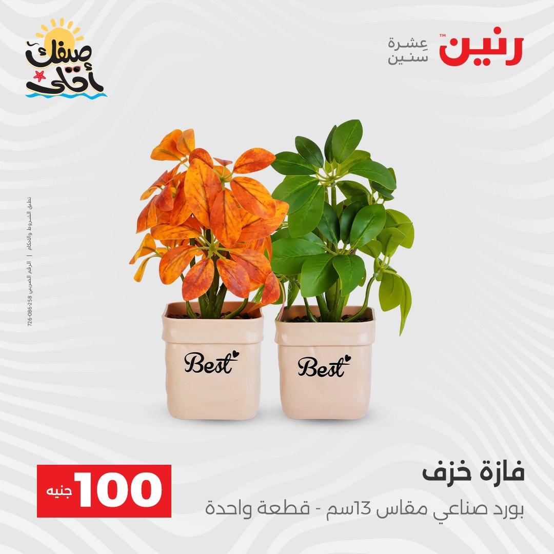 عروض رنين  عرض الـ100 جنية 7-8 ابريل 2026  صفحة 8 - raneen offers 7-8 April 2026 page 8