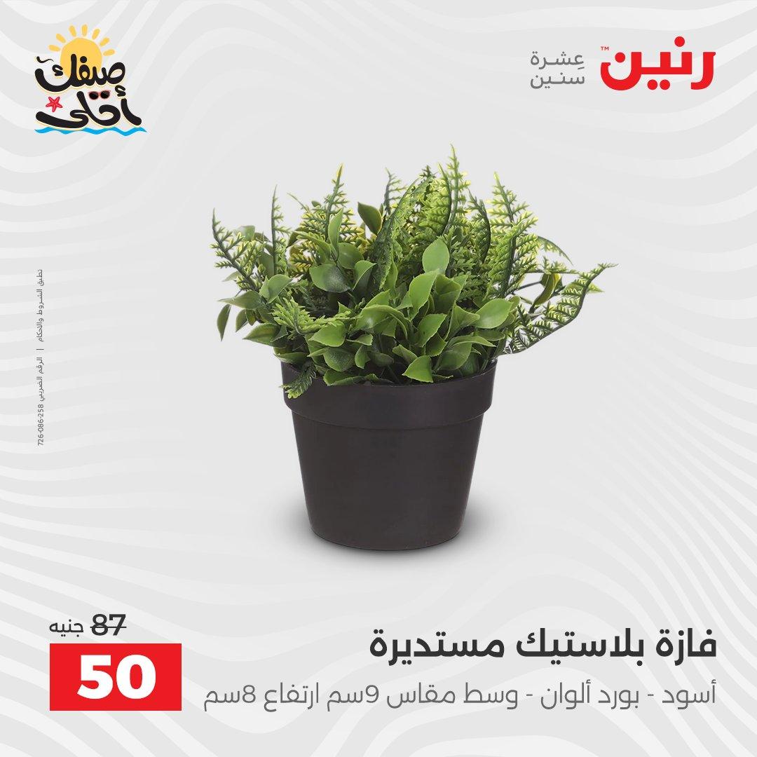 عروض رنين 9-11 إبريل 2026 صفحة 46