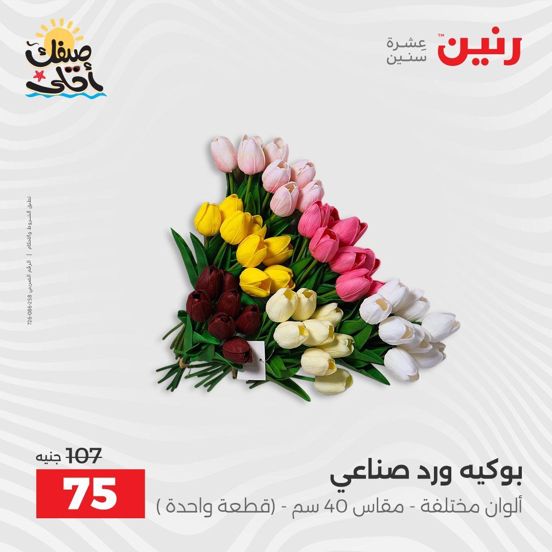 عروض رنين 9-11 إبريل 2026 صفحة 48