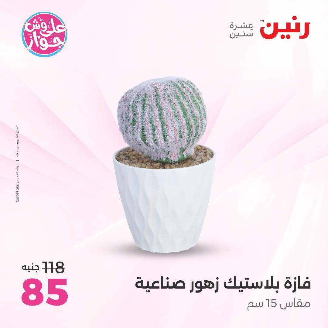 عروض رنين على  الديكور  9-11 يوليو 2026 صفحة 13