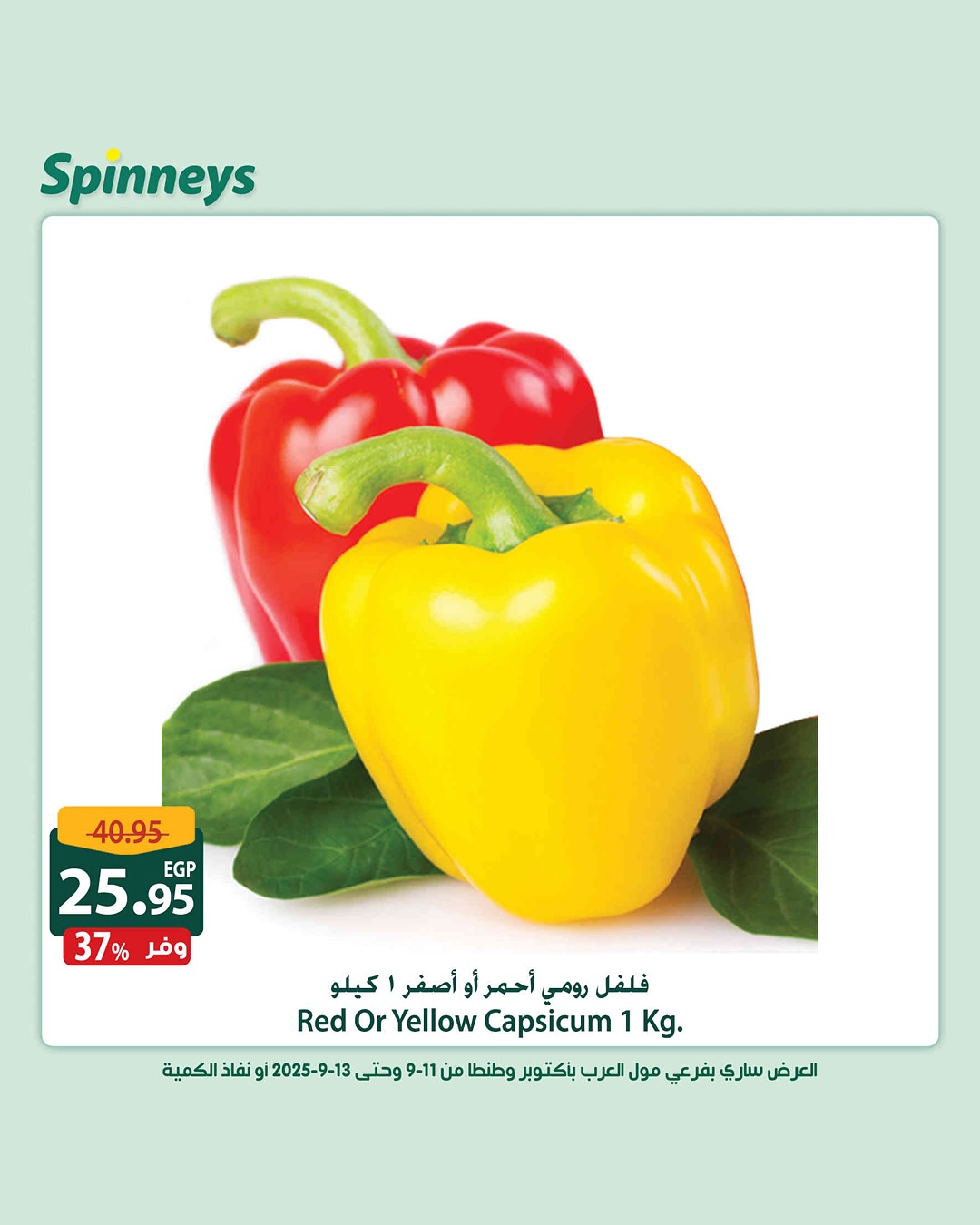 spinneys offers from 11sep to 13sep 2025 عروض سبينس من 11 سبتمبر حتى 13 سبتمبر 2025 صفحة رقم 6