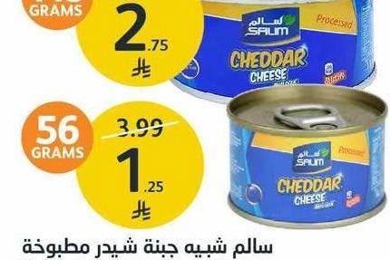 سالم شبيه جبنة شيدر مطبوخة