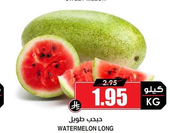 حبدب طويل