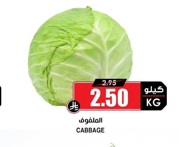 الملفوف