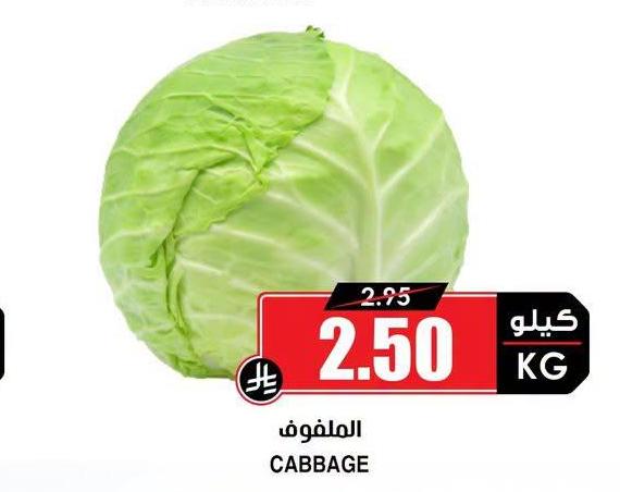 الملفوف