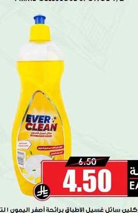 ايفركلين سائل غسيل الاطباق براشمة عطر البومو التر