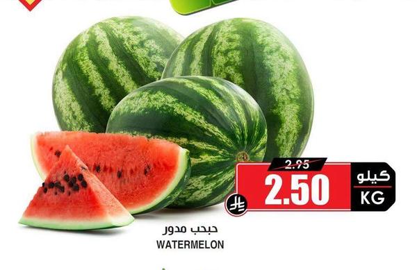جبدب مدور