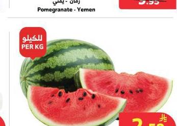 بطيخ - مصر / محلي