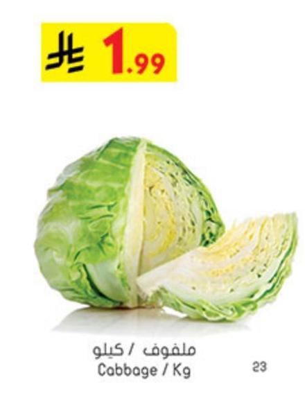 ملفوف / كيلو