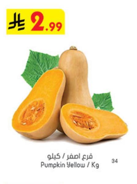قرع اصفر / كيلو