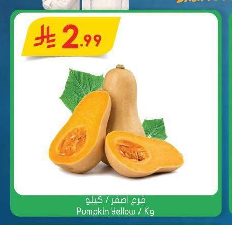 قرع اصفر / كيلو