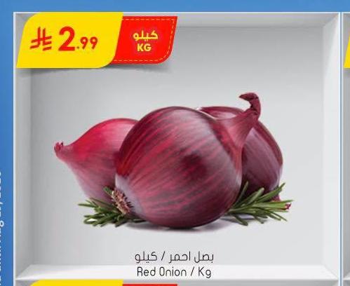 بصل احمر / كيلو
