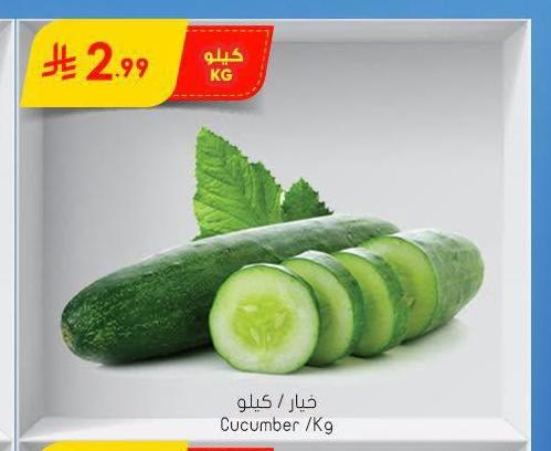 خيار / كيلو