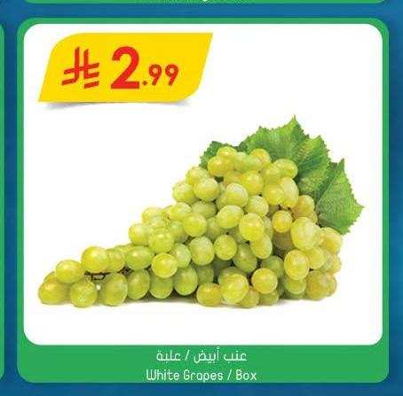عنب أبيض / علبة
