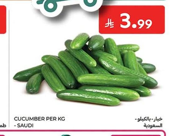 خيار - بالكيلو - السعودية