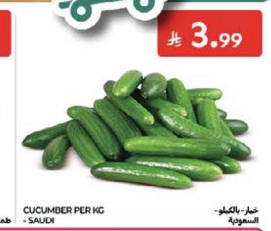 خيار - بالكيلو، السعودية